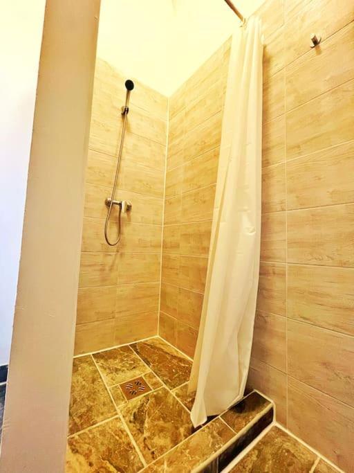 Apartment Spacious Flat *